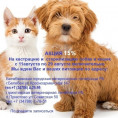 Внимание владельцам домашних животных!